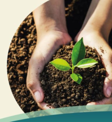 Hands planting a seedling