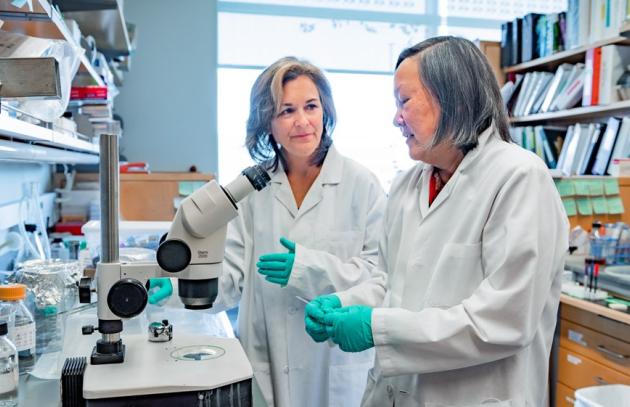 Drs. Tracey Woodruff and Jennifer Fung in a wet lab