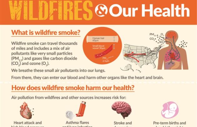 Wildfires and our health infographic